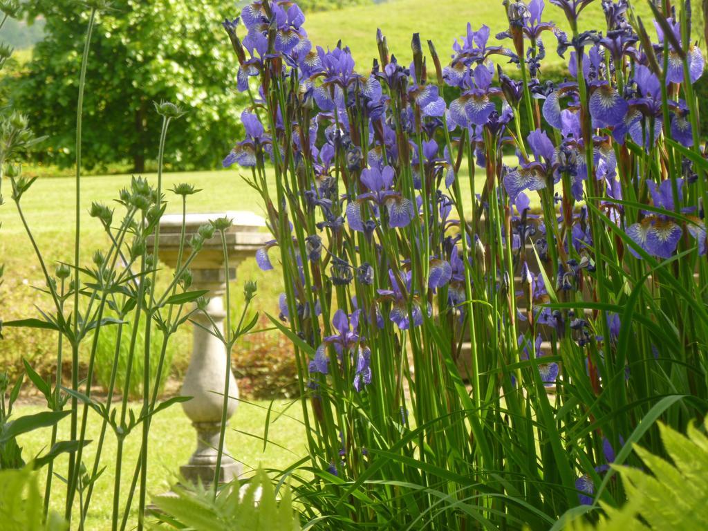 Maison d'hôtes Llwyn Helyg Country House à Carmarthen Extérieur photo